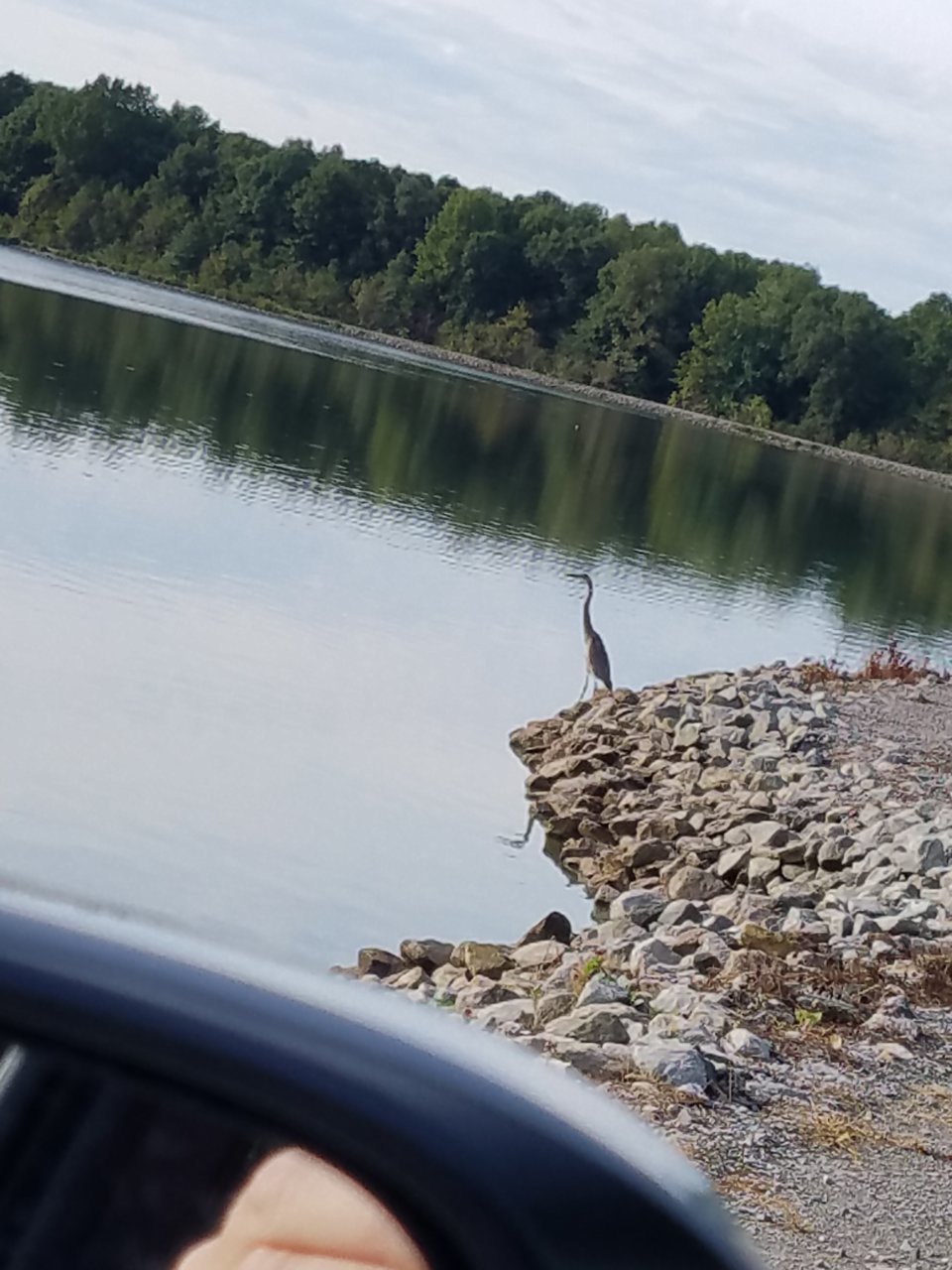 20191007_090037.jpg