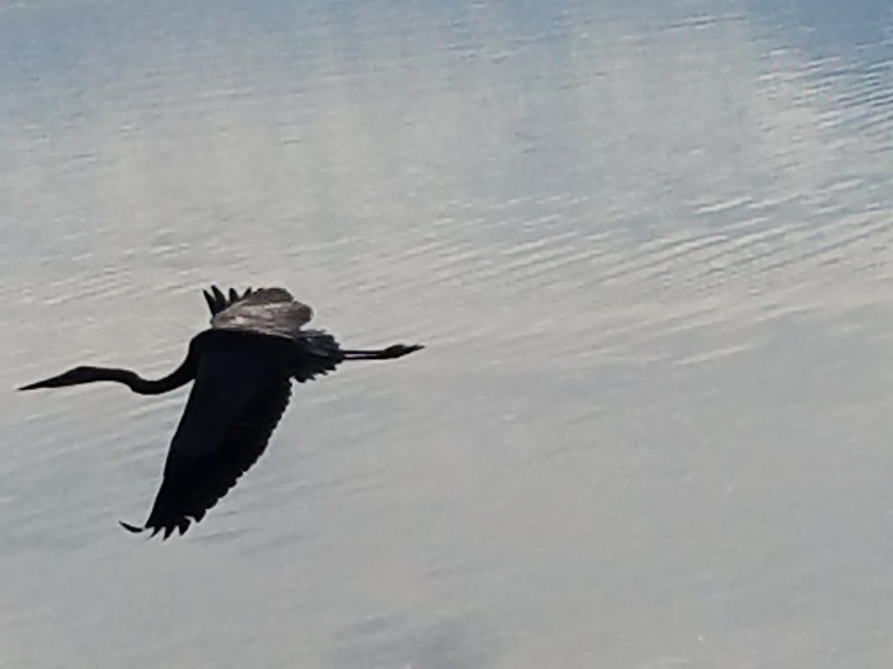 20191007_090050.jpg