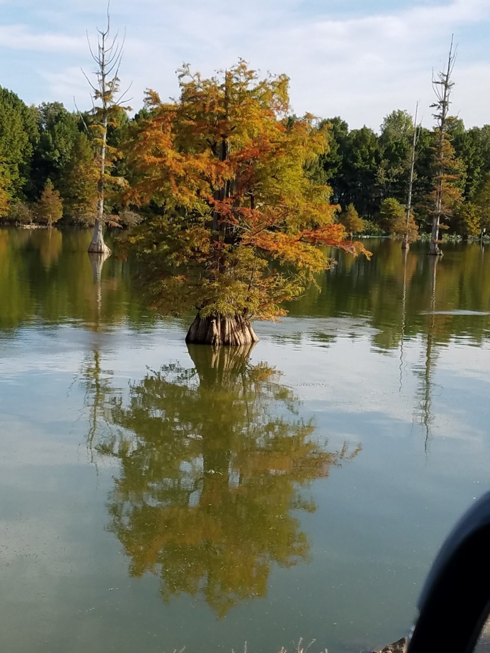 20191007_090657.jpg