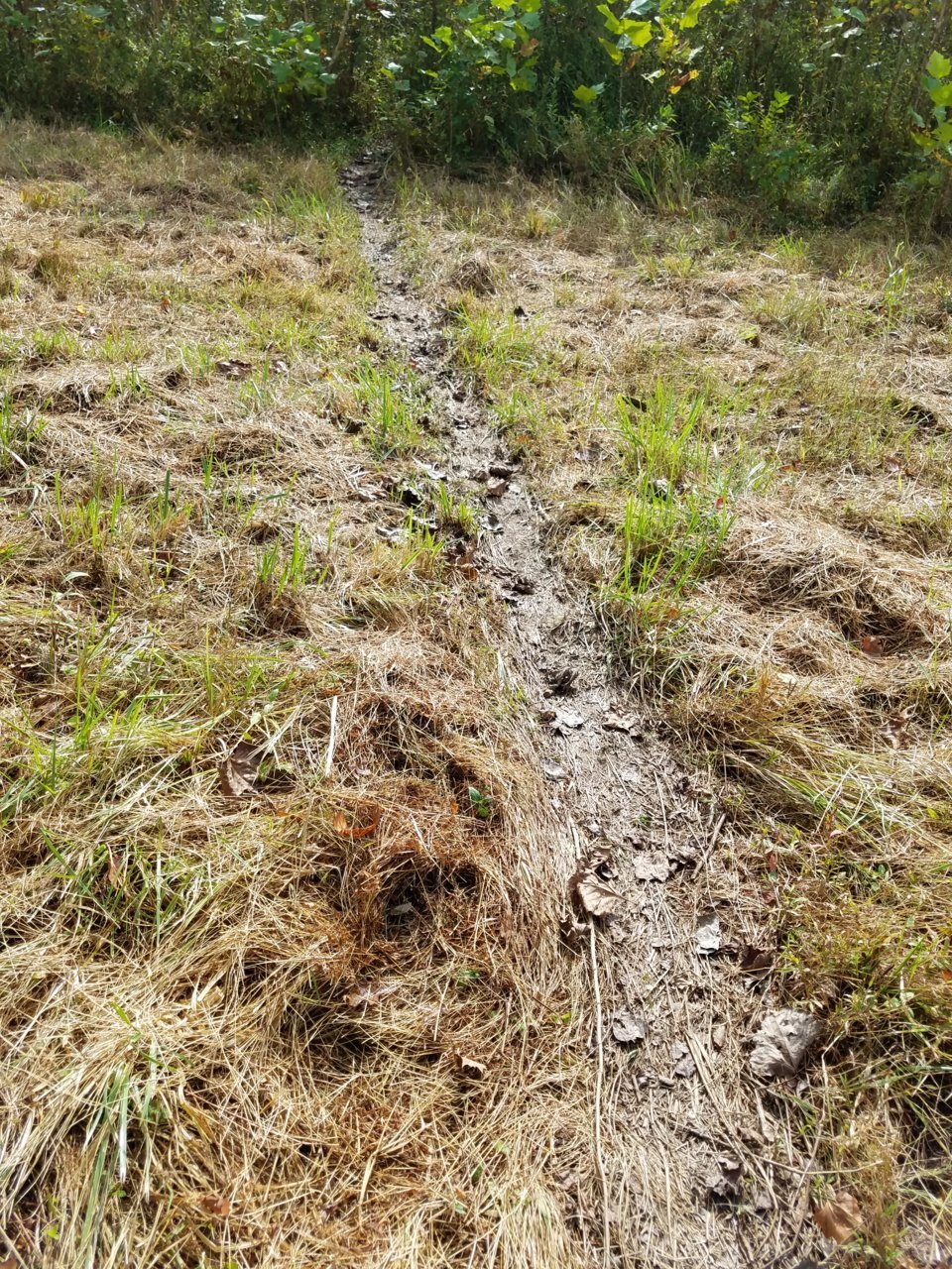 20191007_105118.jpg
