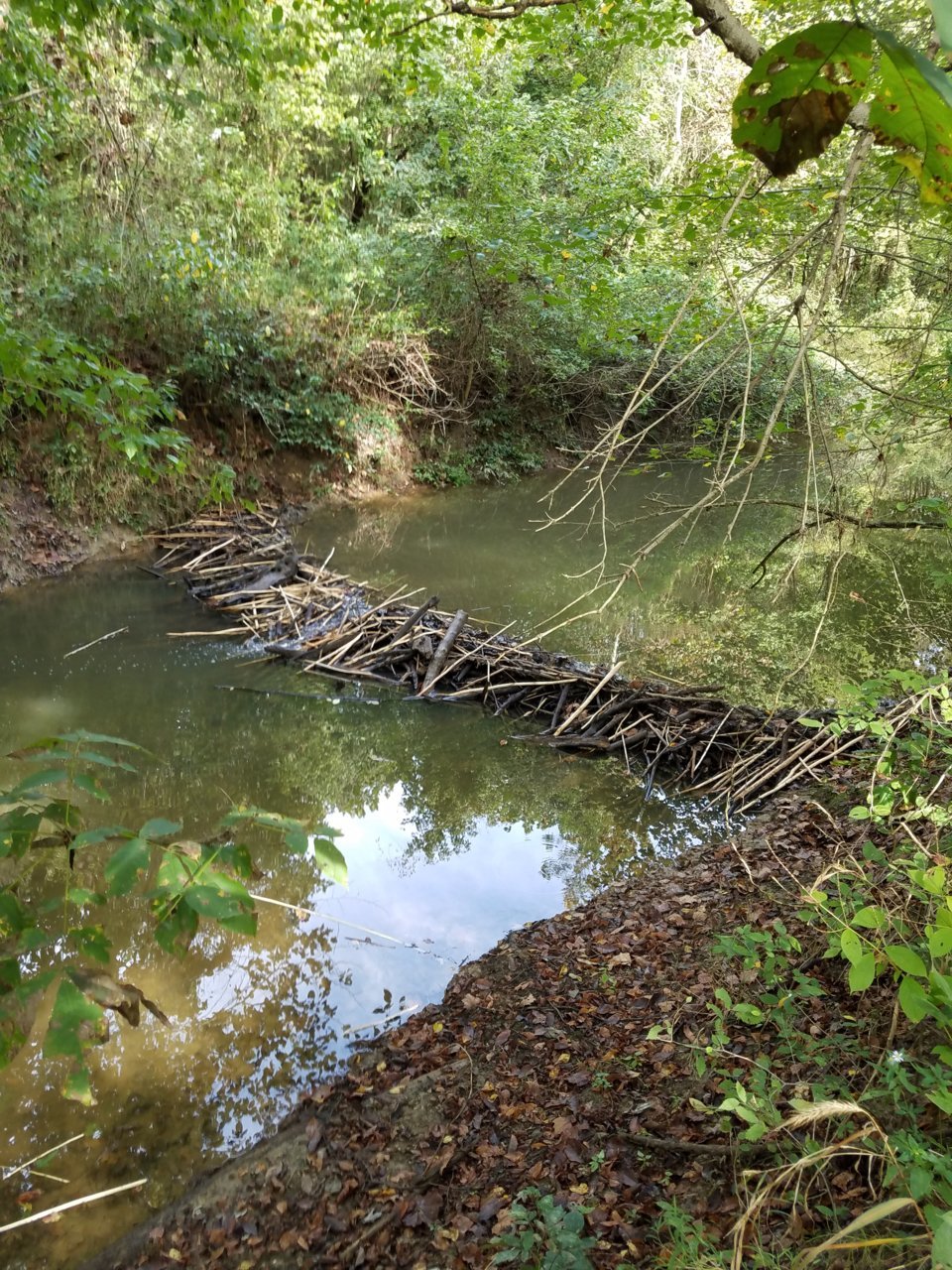 20191007_105207.jpg