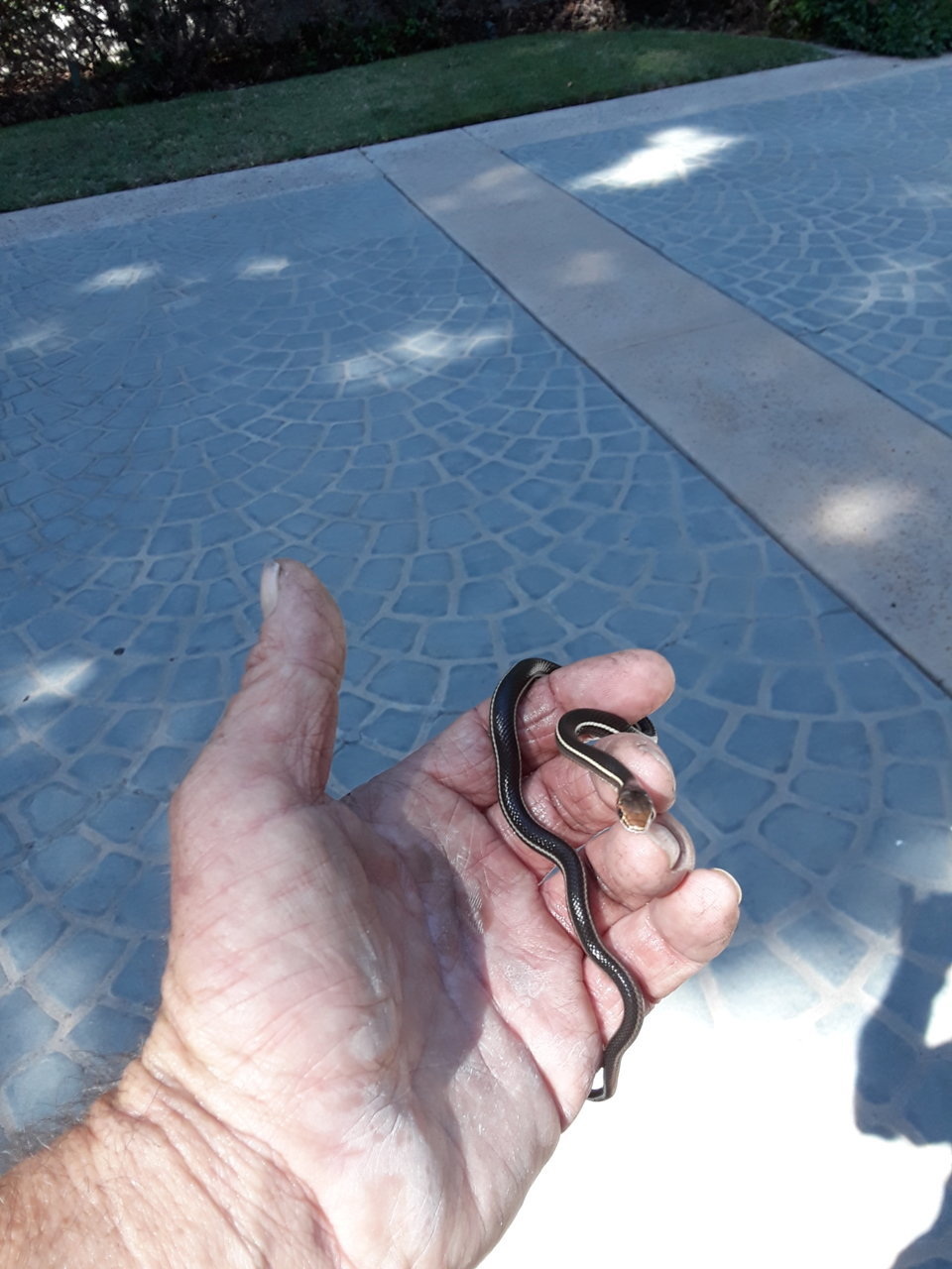20191008_124728.jpg