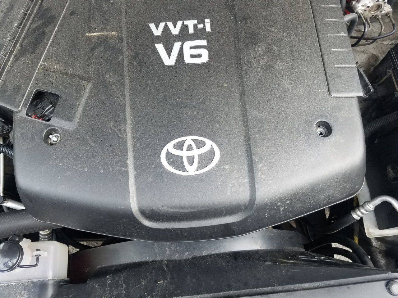 20191008_145209.jpg