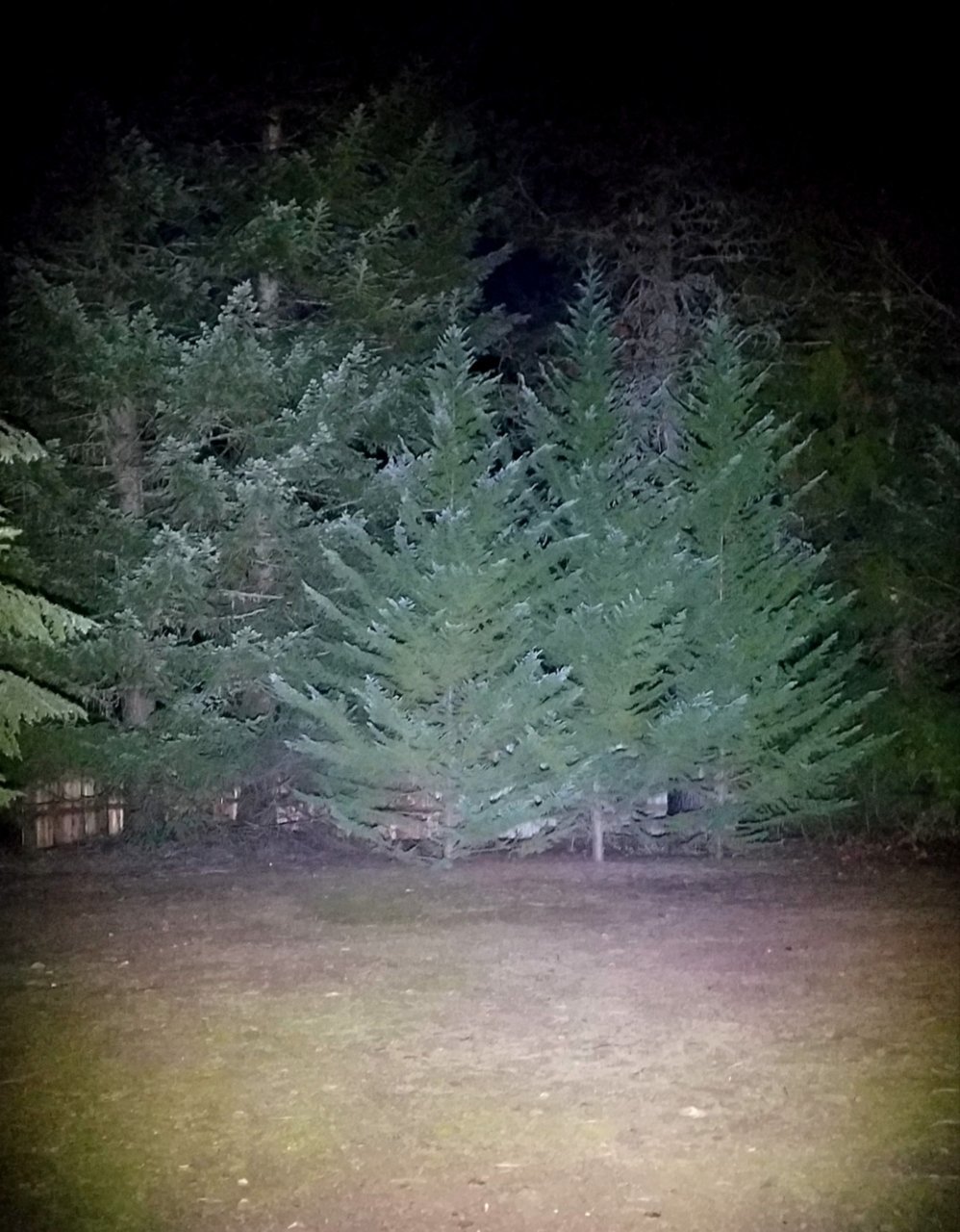20191008_181014.jpg