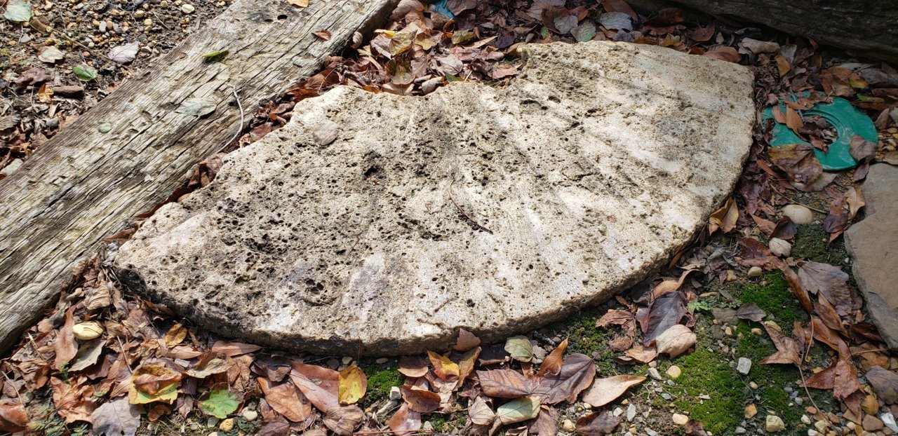 20191009_112615.jpg