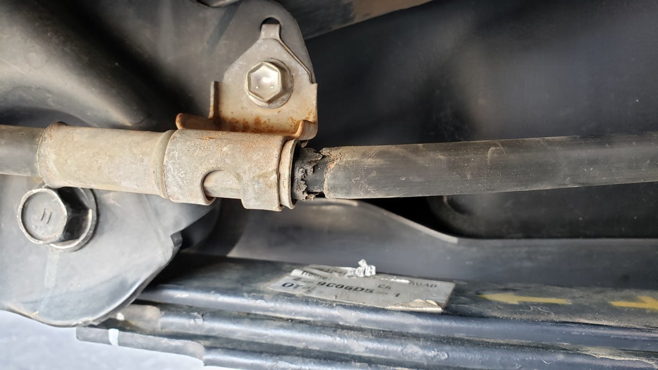 20191009_114058.jpg