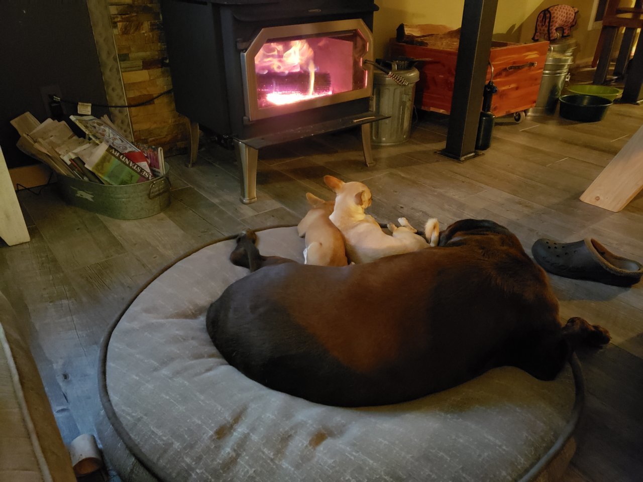 20191009_191057.jpg