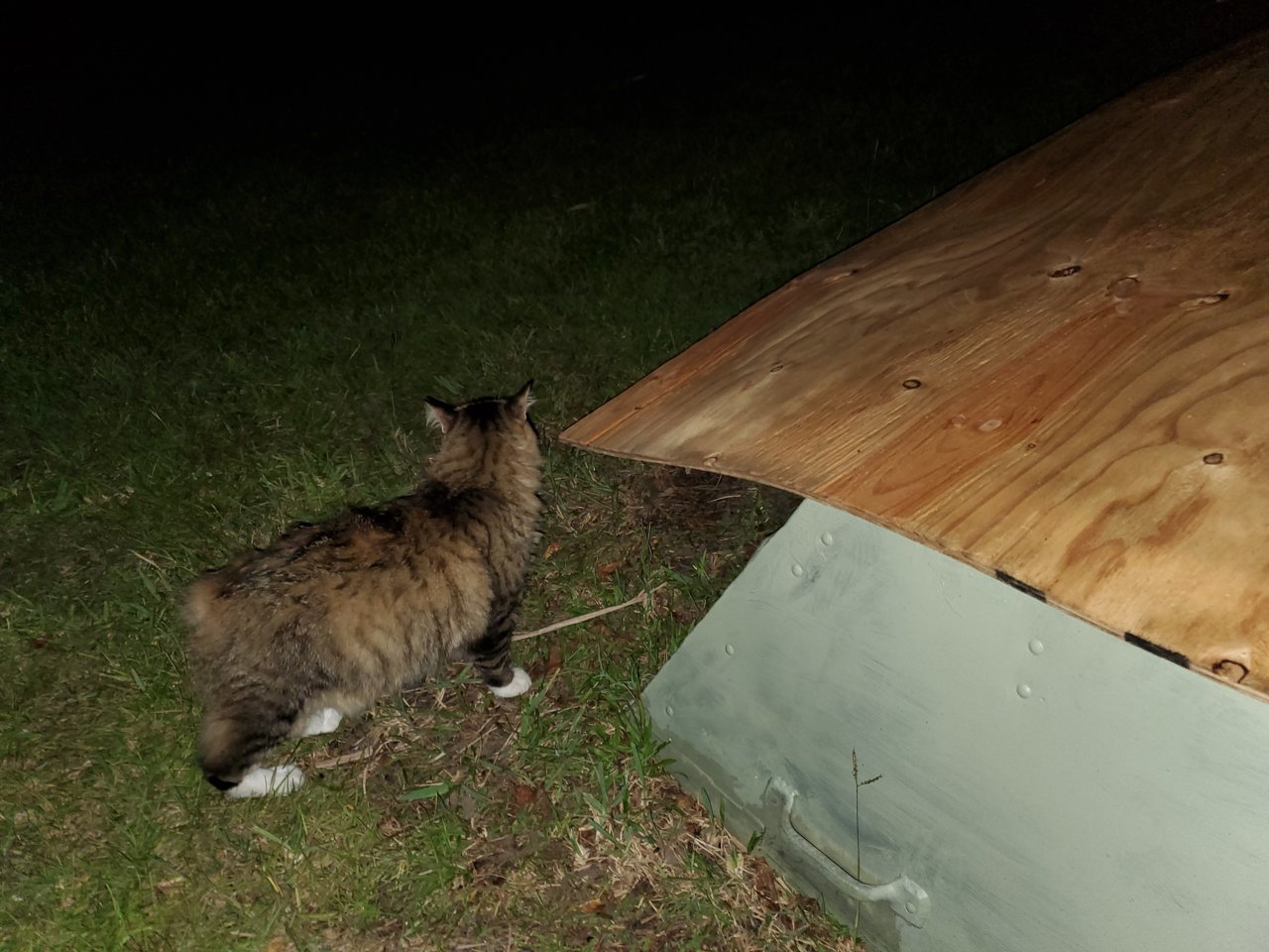 20191009_210048.jpg
