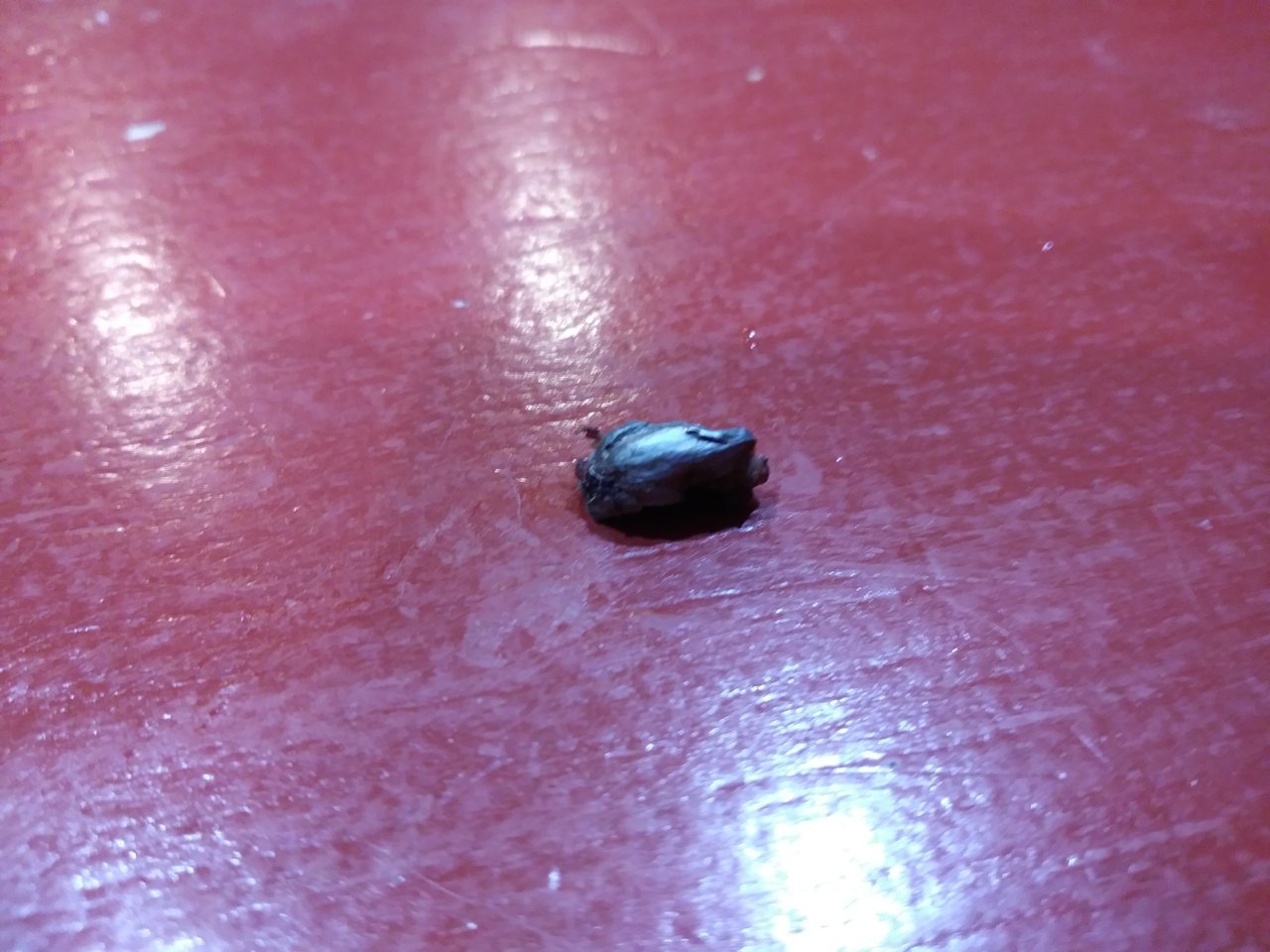 20191009_212601.jpg