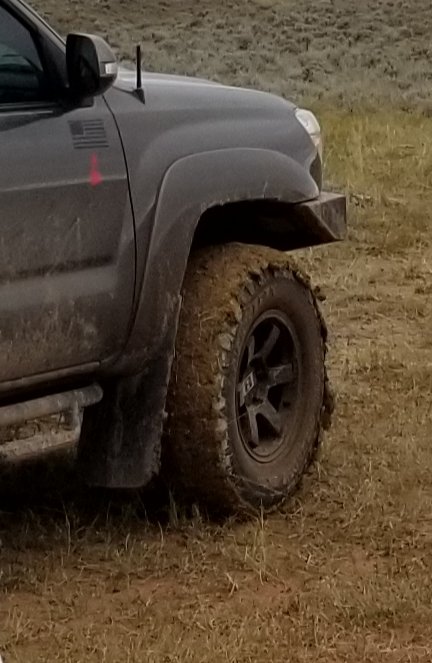 20191010_230229.jpg