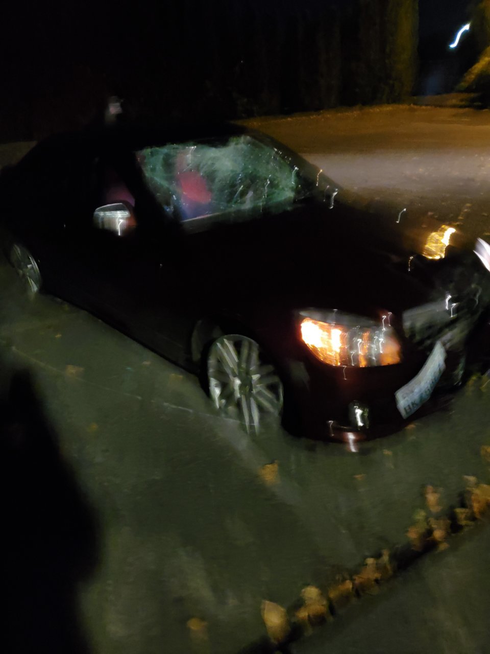20191012_022740.jpg