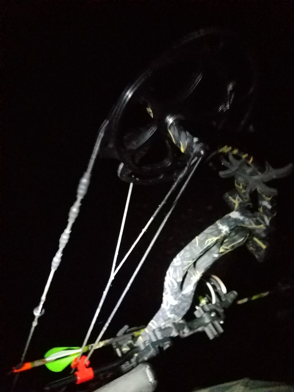 20191012_062547.jpg