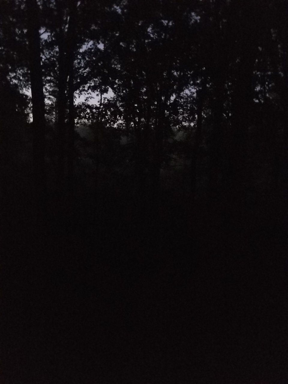 20191012_062602.jpg