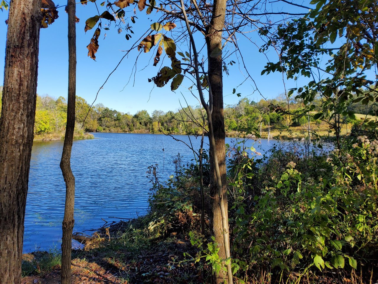20191012_100452.jpg