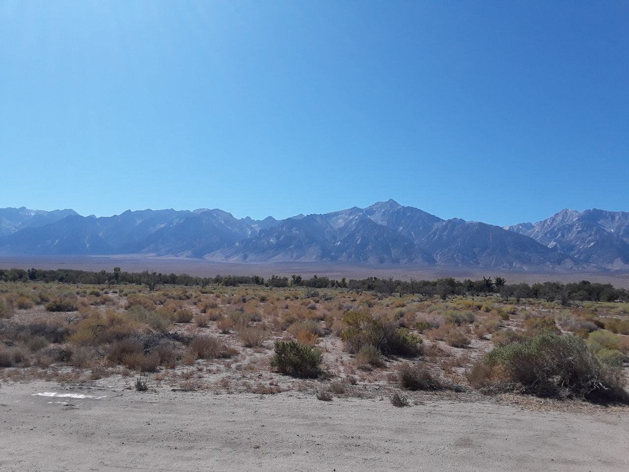 20191012_134215.jpg