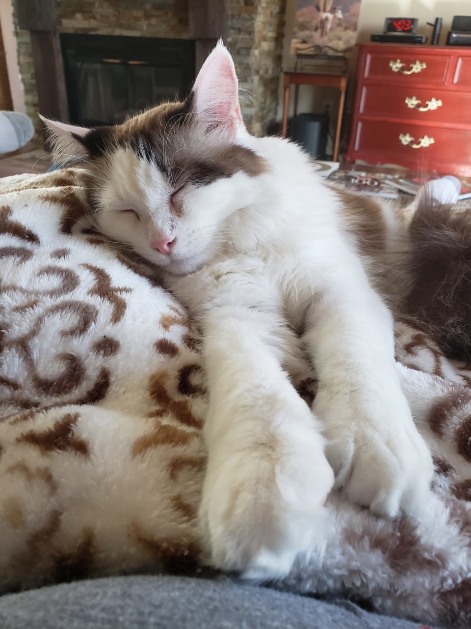 20191012_160330.jpg