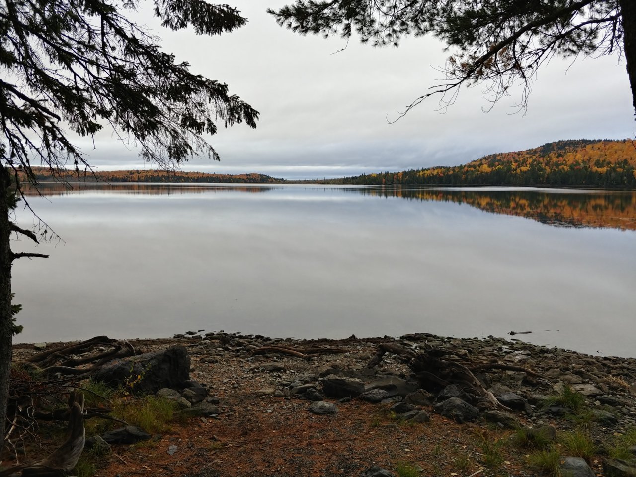 20191012_162750_HDR.jpg