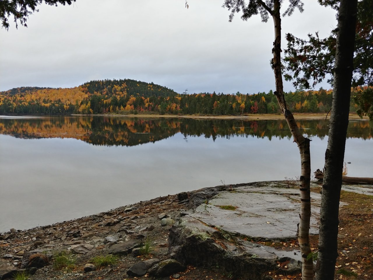 20191012_162806_HDR.jpg