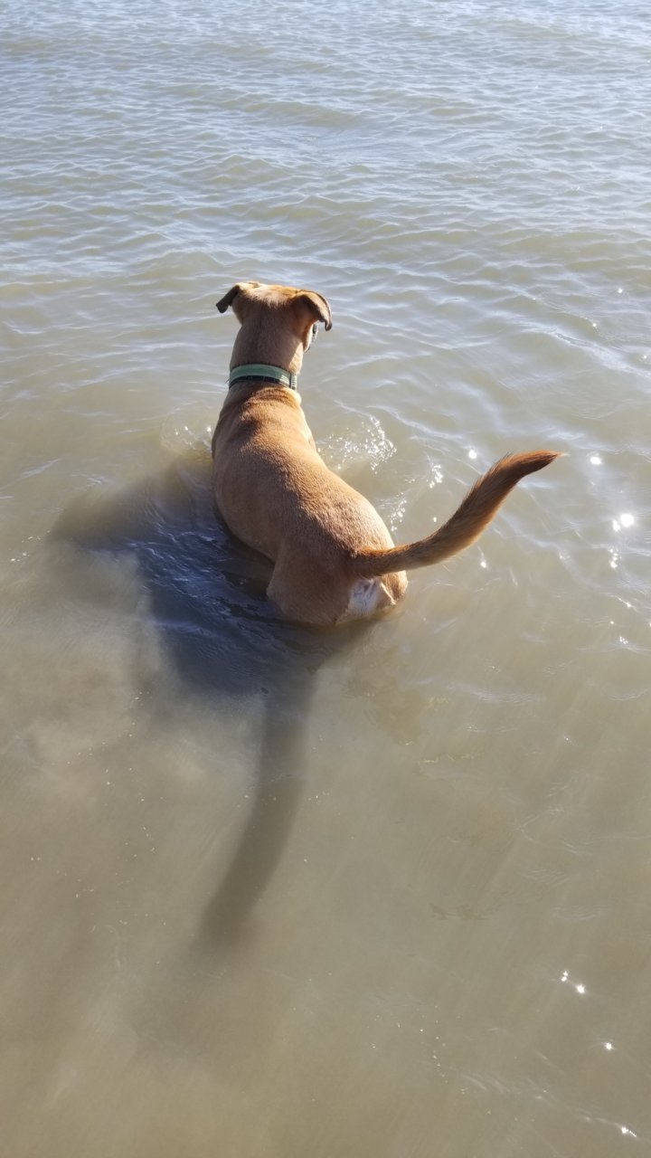 20191012_164107.jpg
