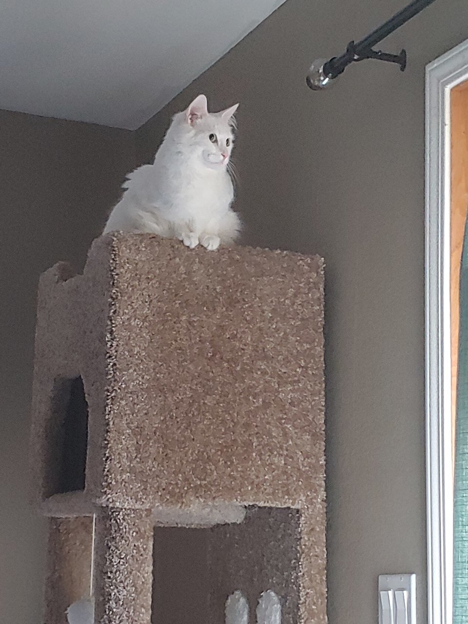 20191013_075016.jpg