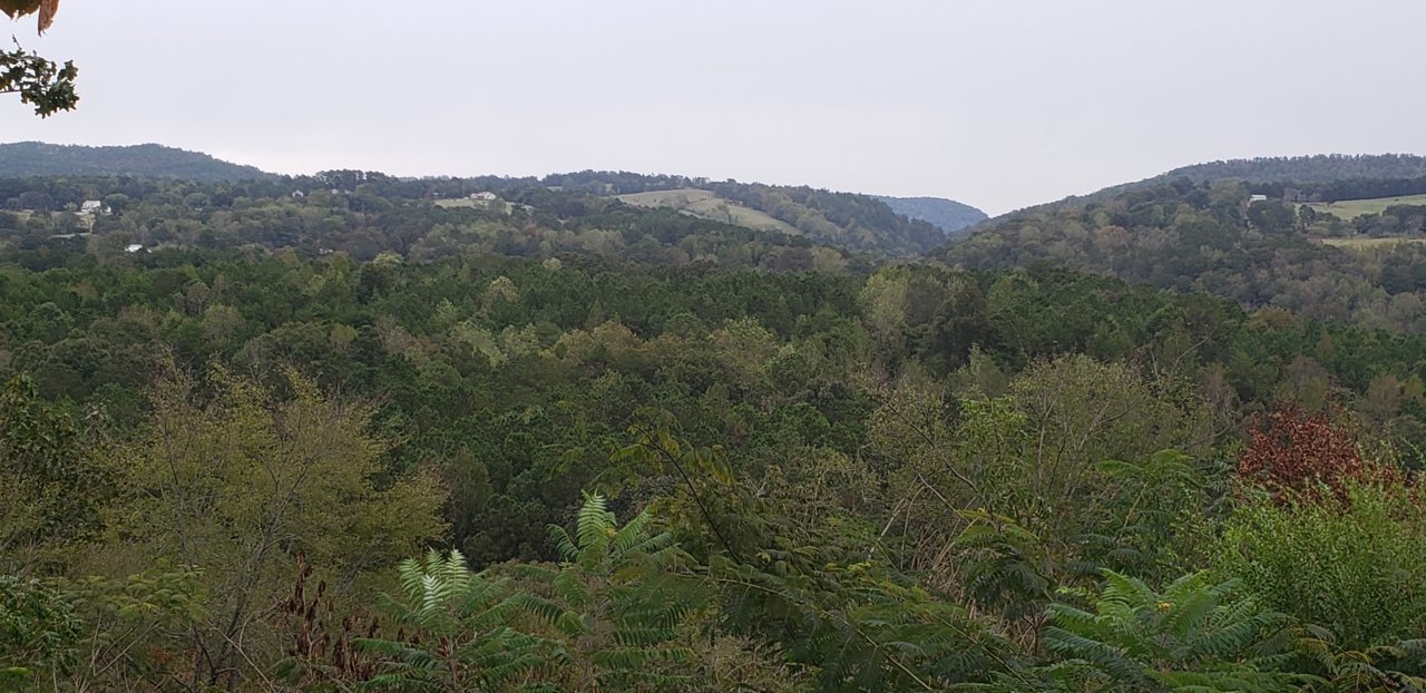 20191013_135612.jpg