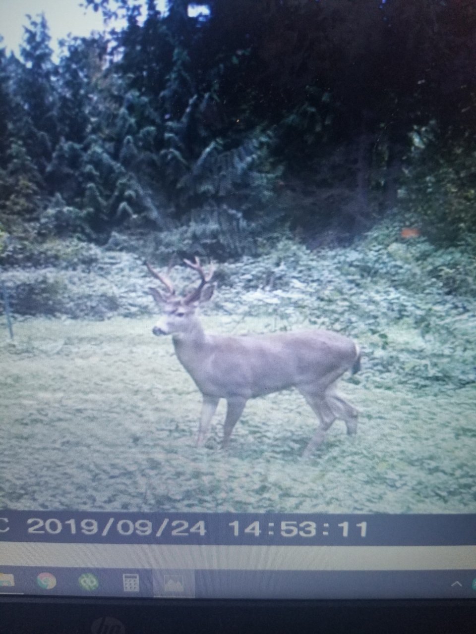 20191013_173657.jpg
