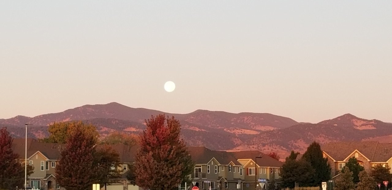 20191014_071133.jpg