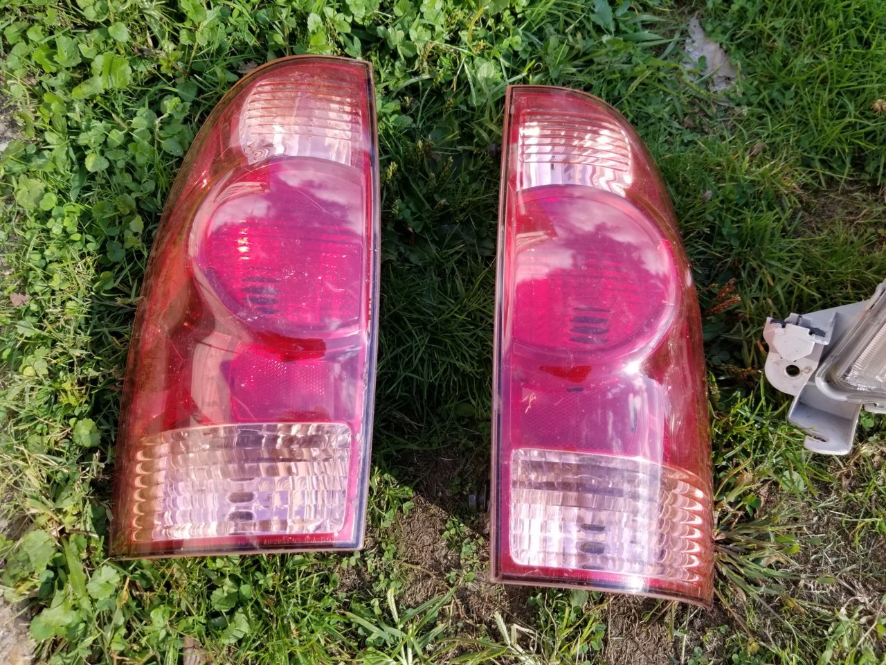 20191014_155620.jpg
