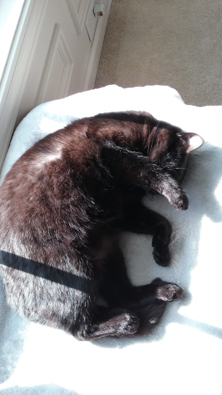20191015_103835.jpg