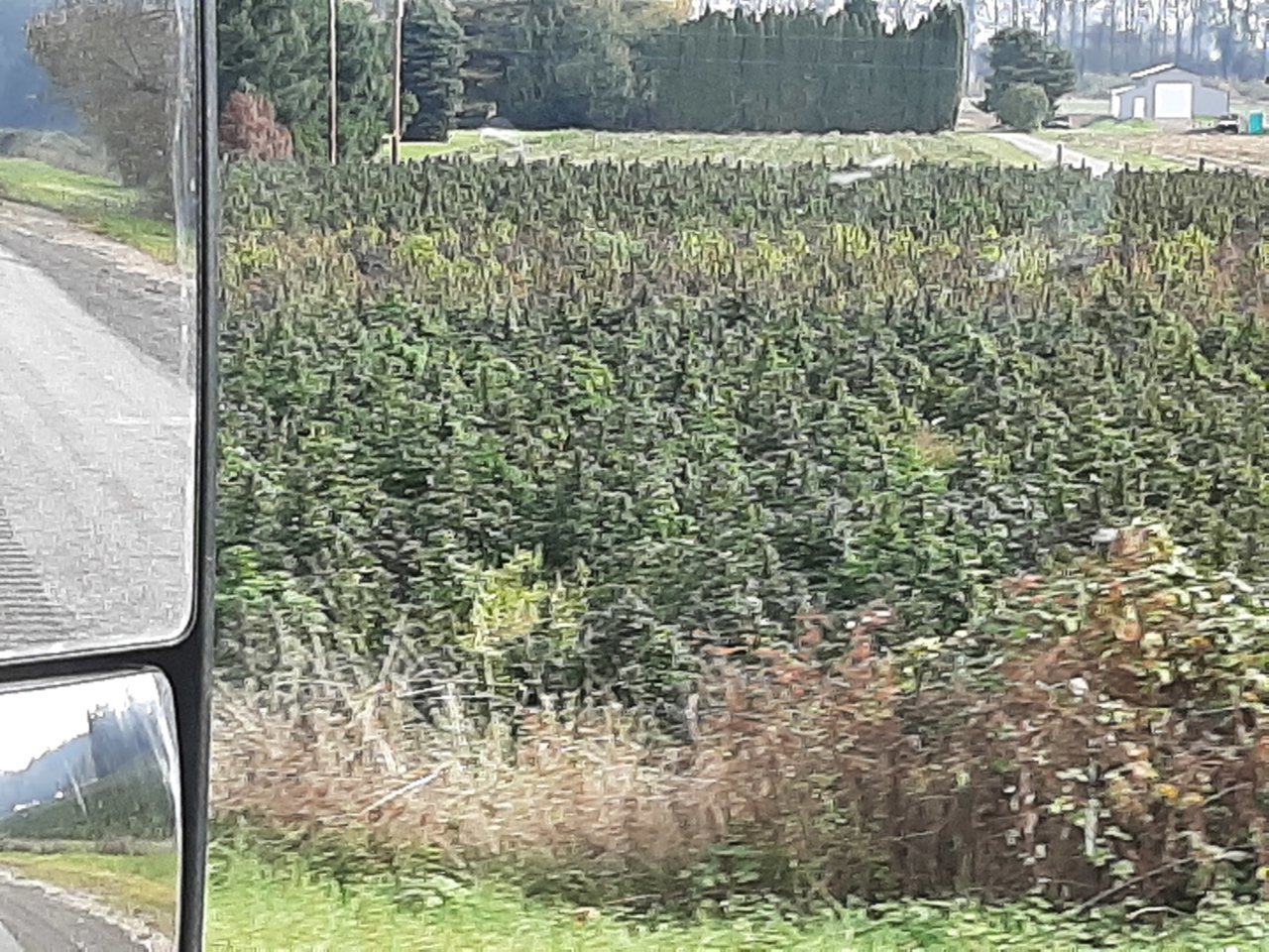 20191015_124114.jpg