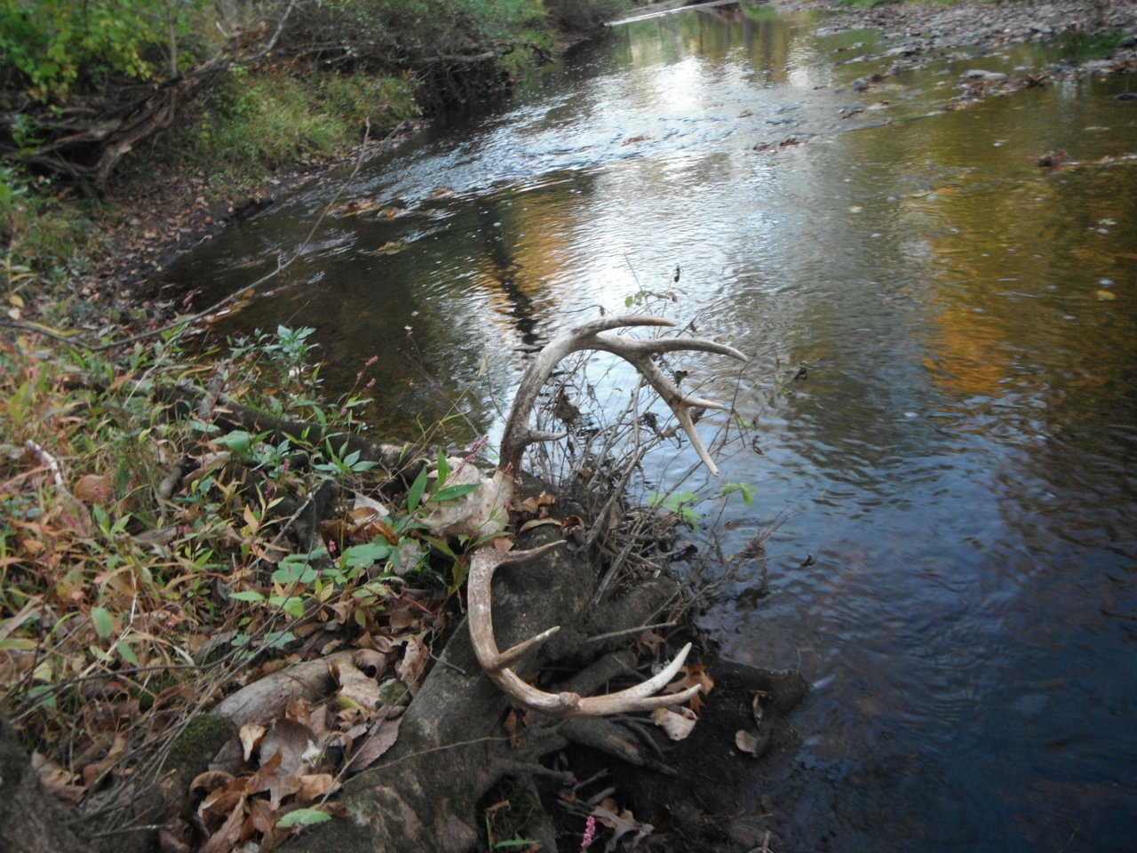 20191015_6MileRunc.jpg