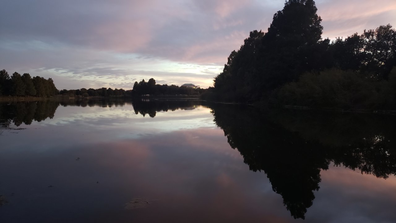 20191016_191154.jpg
