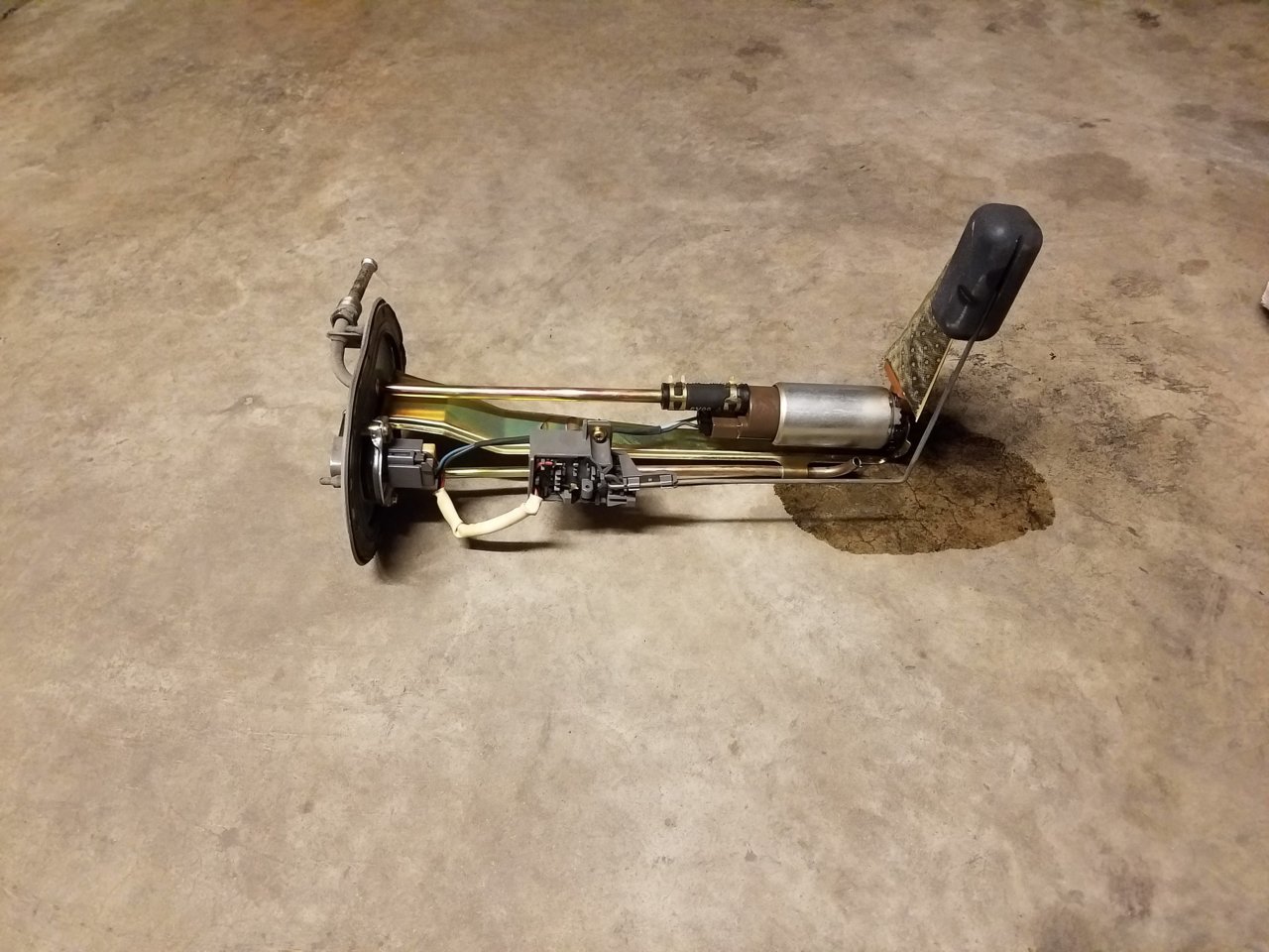 20191016_210752.jpg
