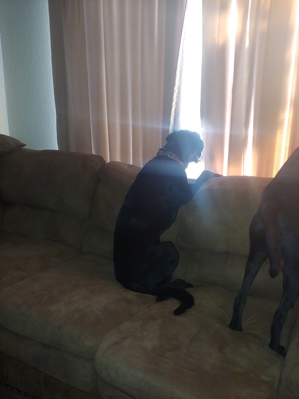 20191017_072033_HDR.jpg
