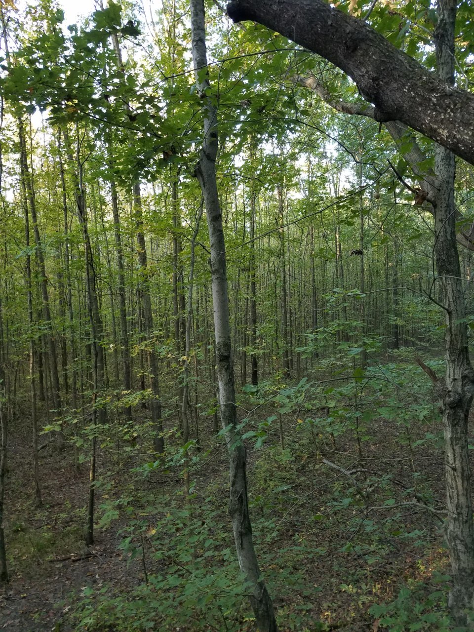 20191017_075711.jpg
