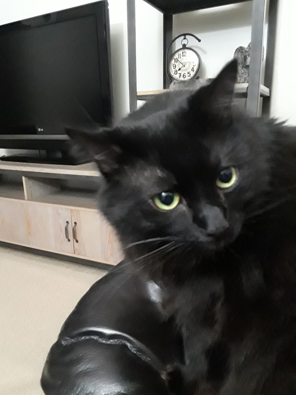 20191017_195344.jpg