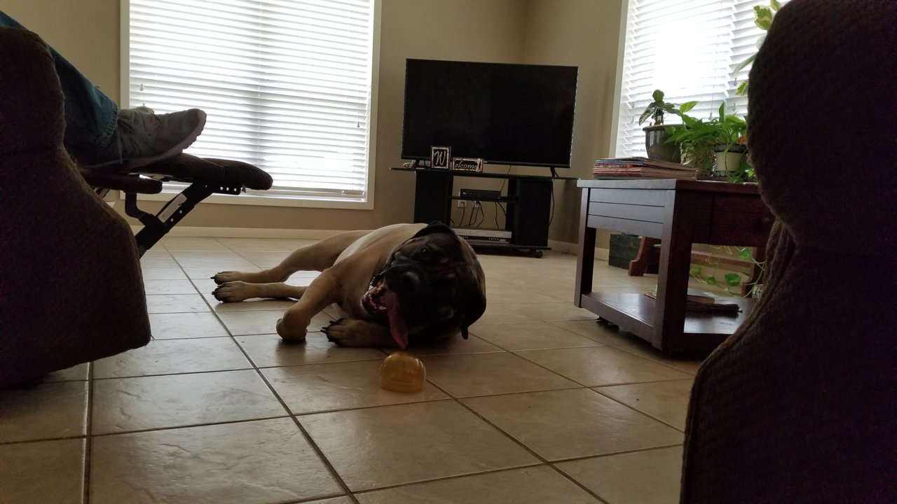 20191019_125103.jpg