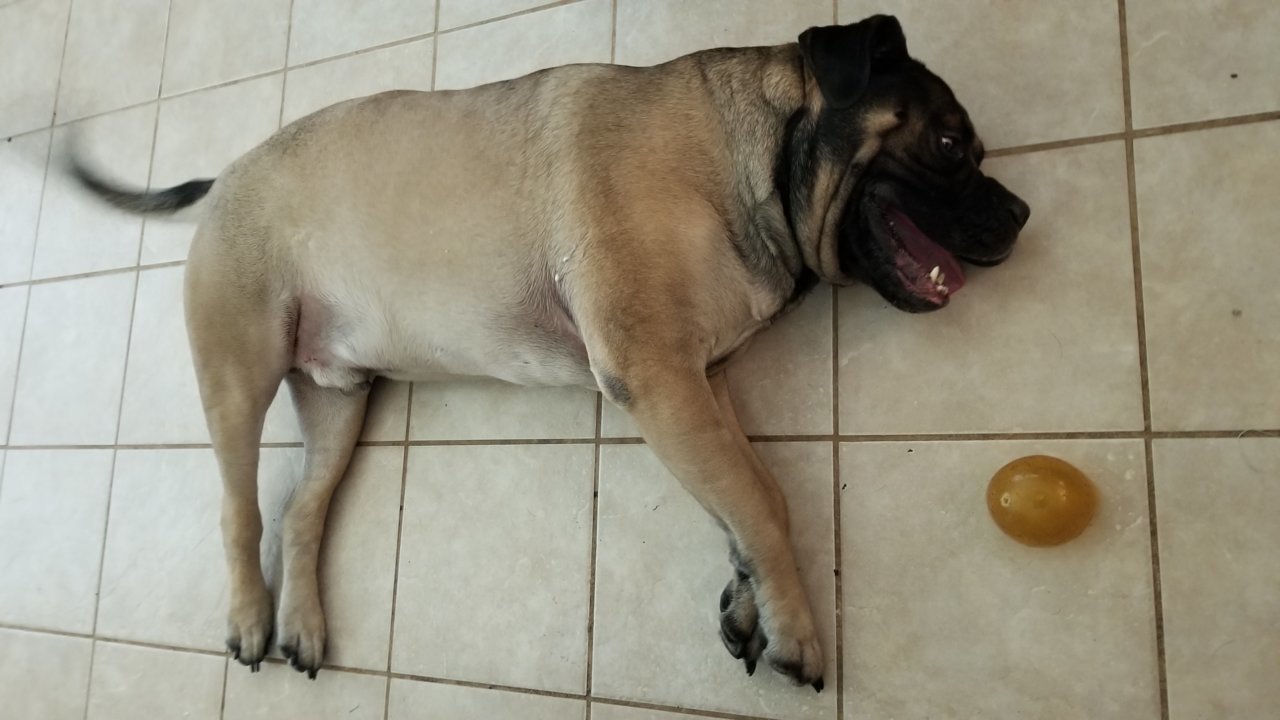 20191019_125110.jpg