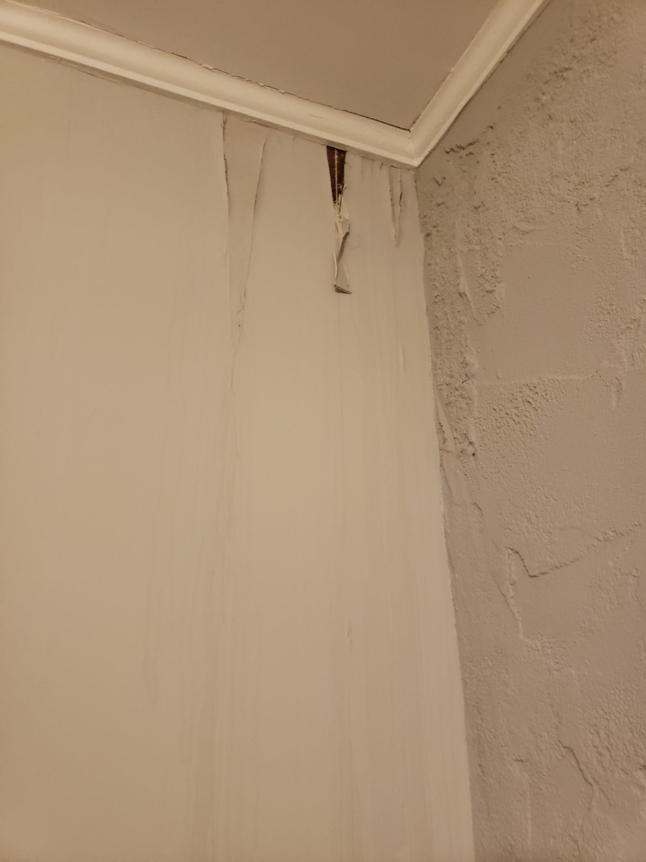 20191019_180032.jpg