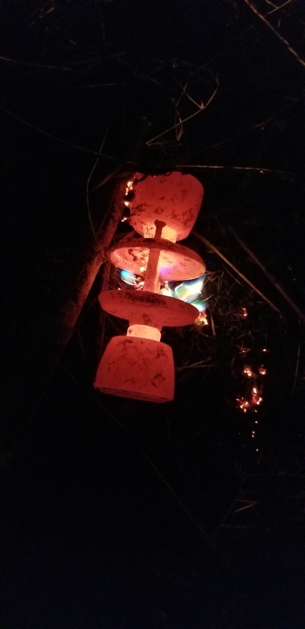 20191019_225504.jpg