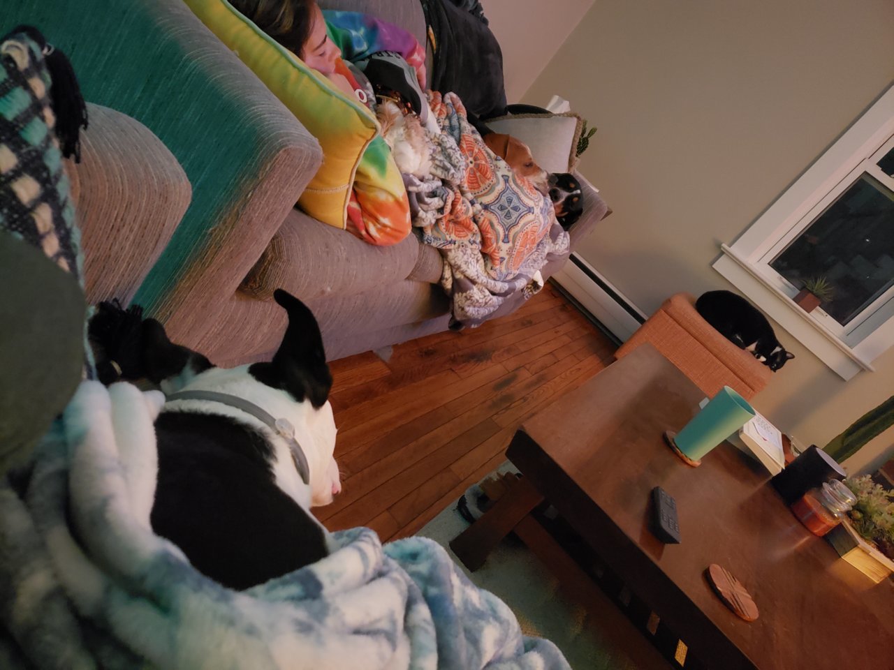 20191020_023531.jpg