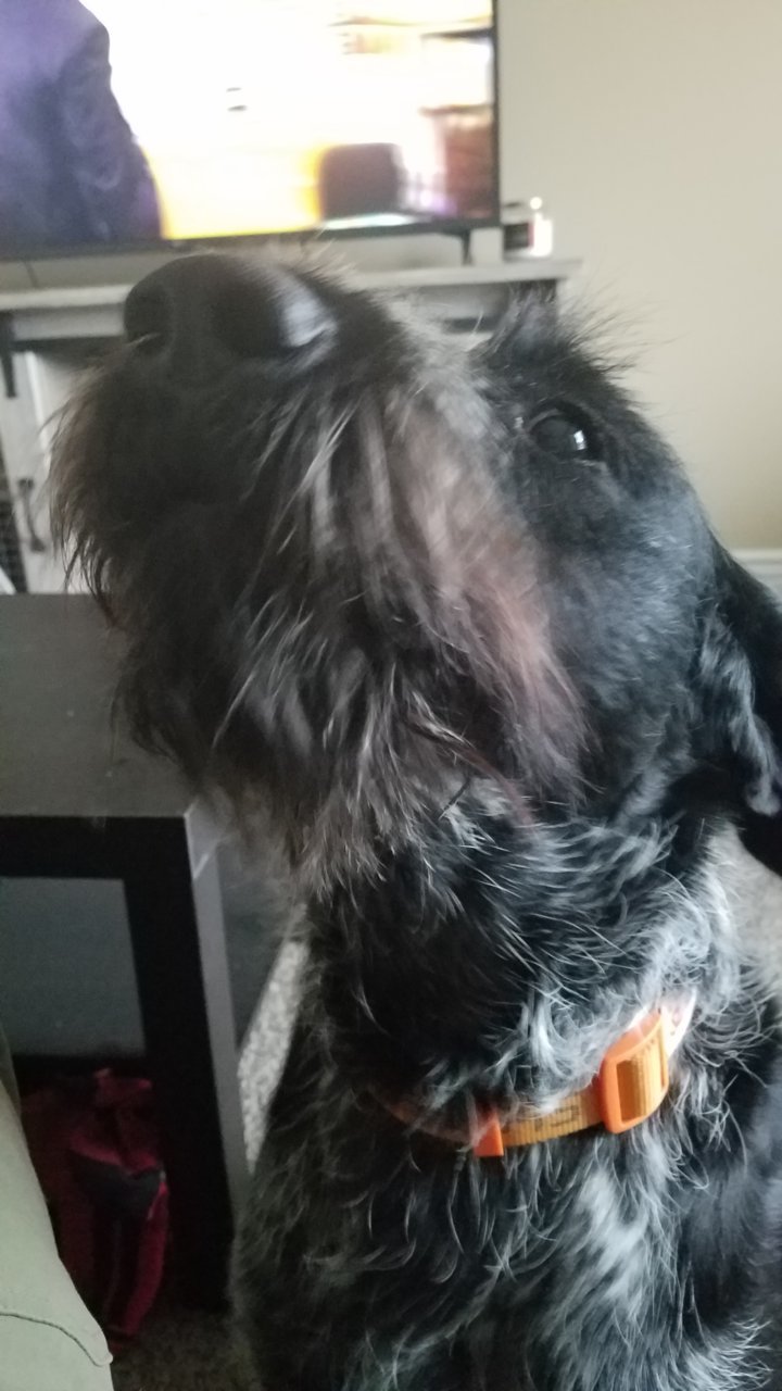 20191020_081545.jpg