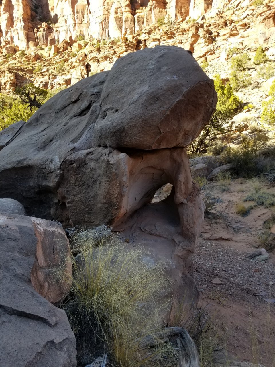 20191022_160541.jpg