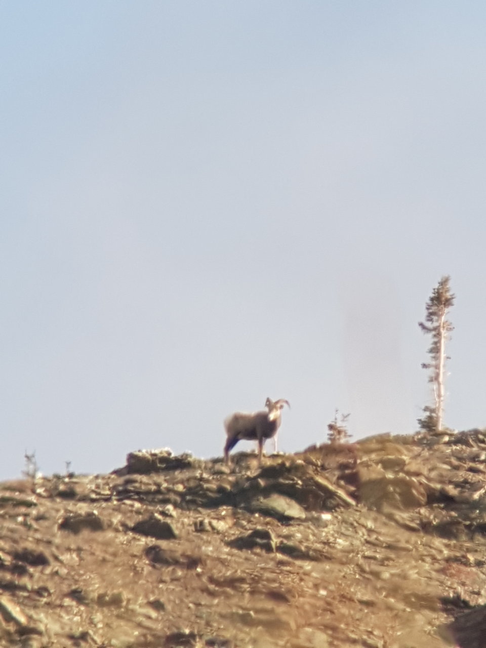20191023_124535.jpg