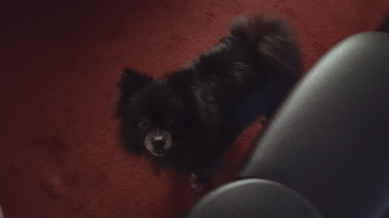 20191023_215609.jpg