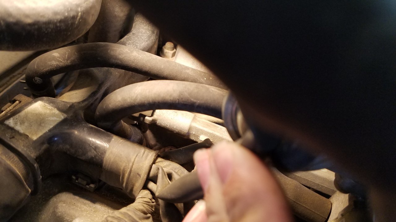 20191024_135512.jpg