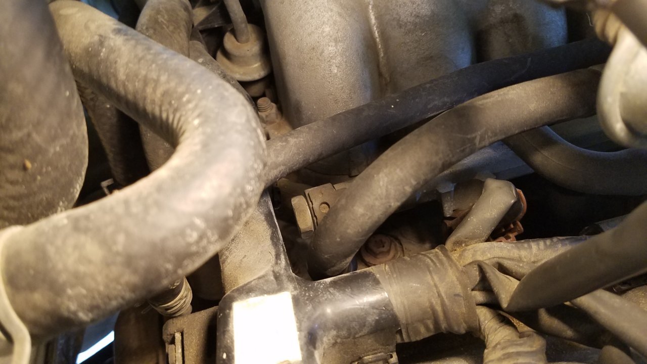 20191024_135536.jpg
