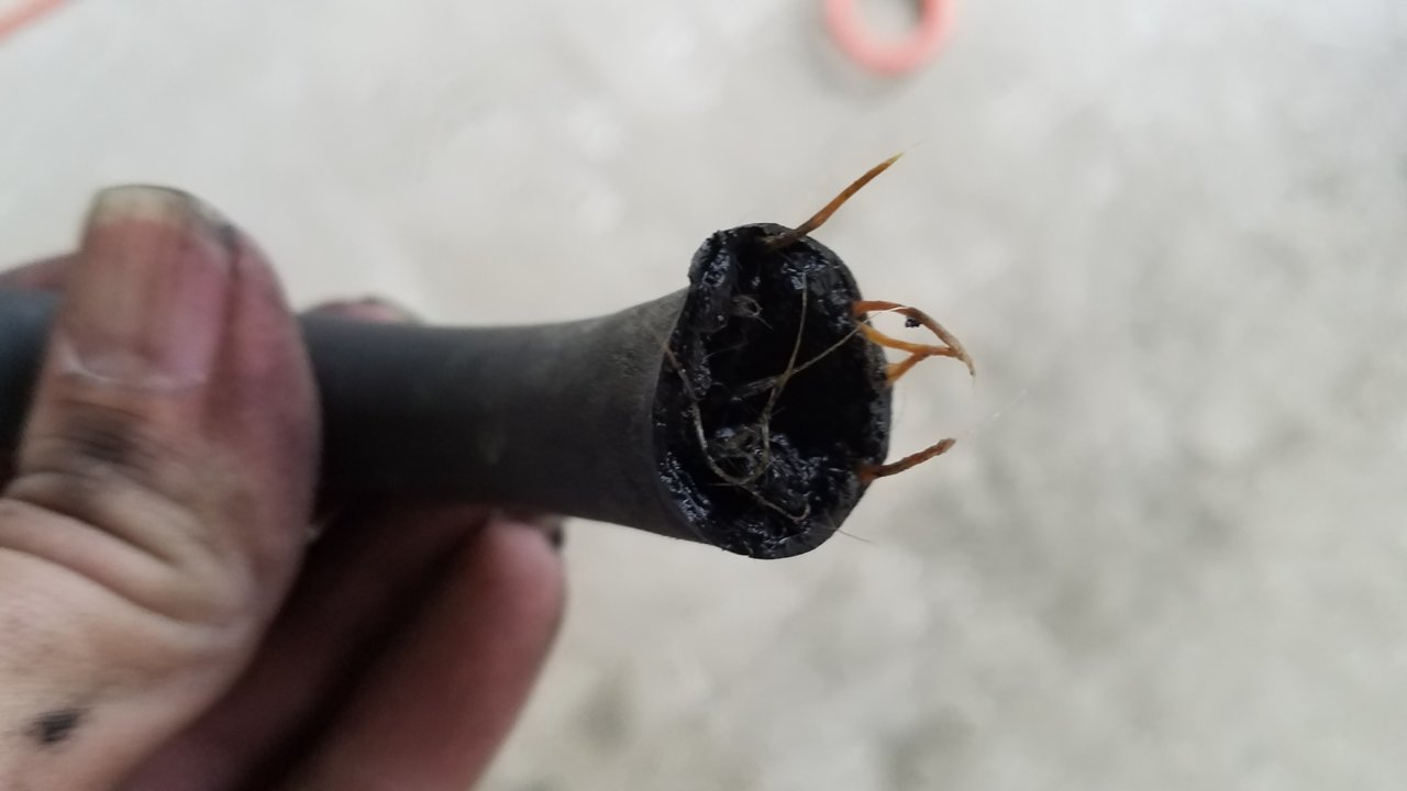 20191024_175413.jpg