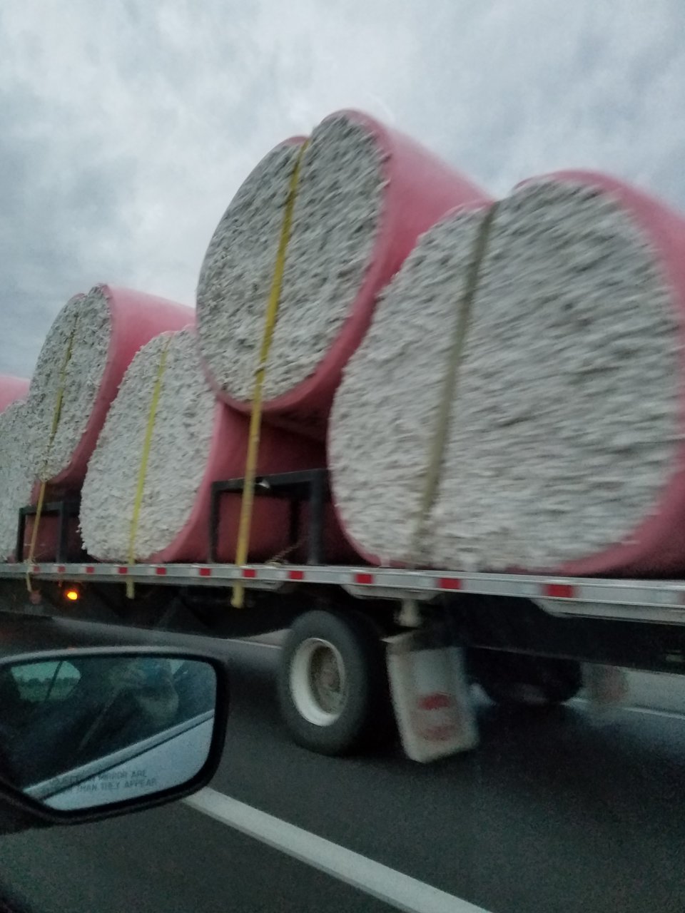 20191025_071003.jpg