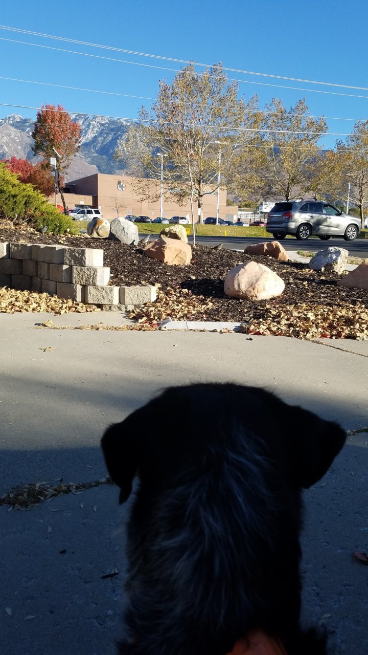 20191025_164344.jpg